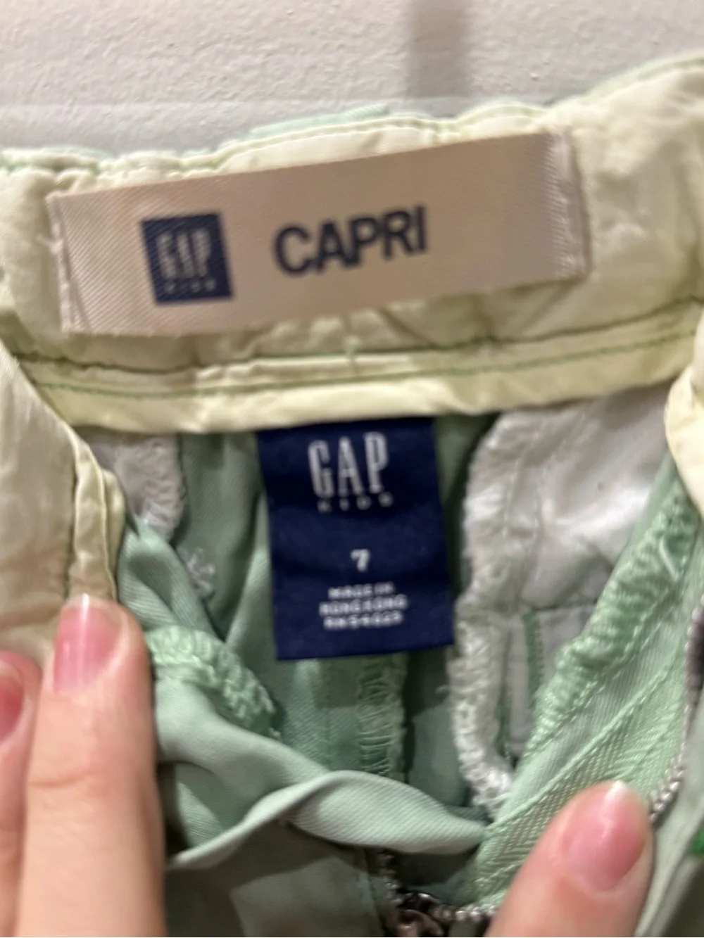 GAP Sage Green Daisy Embroidered Chinos